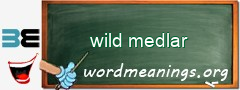 WordMeaning blackboard for wild medlar